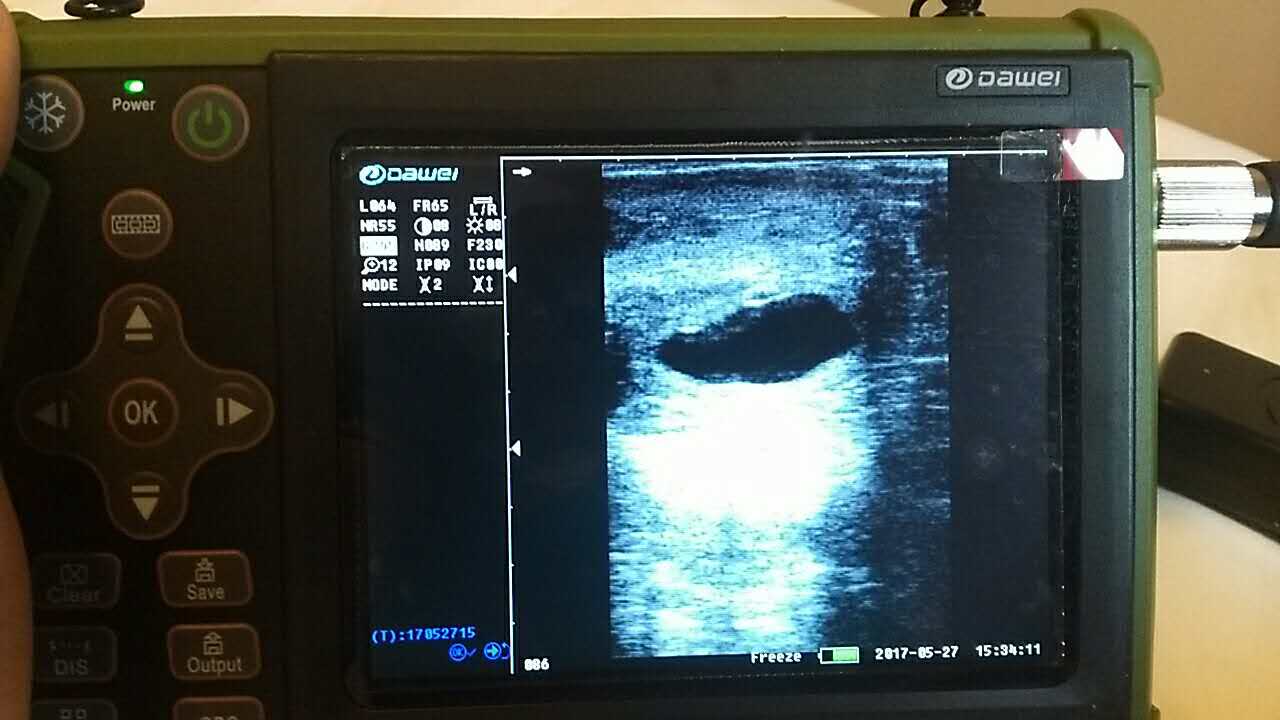 動(dòng)物B超機(jī),獸用B超機(jī),獸用B超,動(dòng)物B超