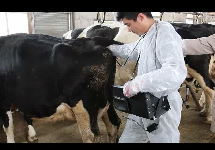 獸用B超,動物B超機(jī),牛用B超機(jī)