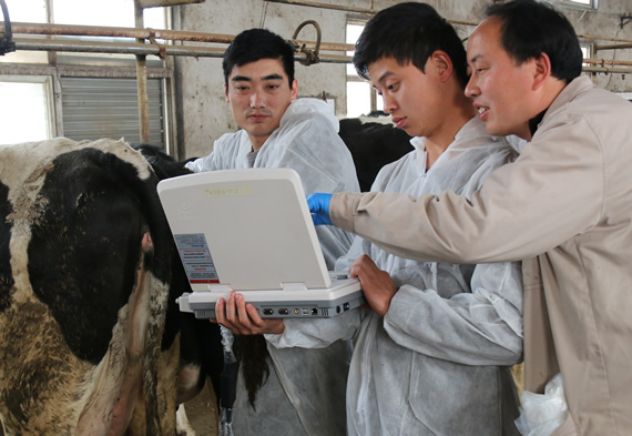 獸用B超,動物B超機(jī),牛用B超機(jī)