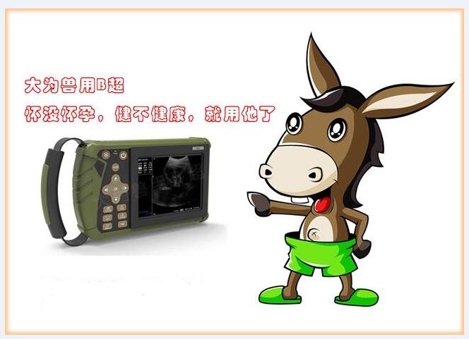獸用B超機(jī),獸用b超,獸用孕檢B超,毛驢妊娠的直腸檢查法